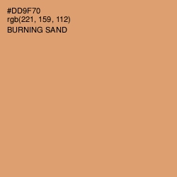 #DD9F70 - Burning Sand Color Image